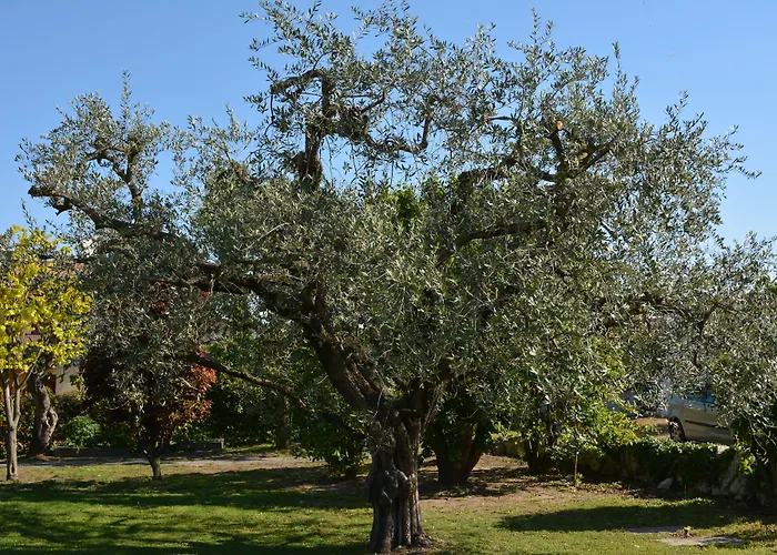 Parc Casa Mia Ξενοδοχείο