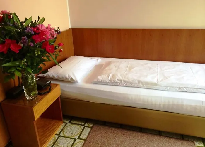 Parc Hotel Casa Mia 3*