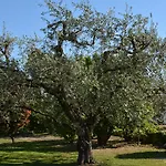 Parc Casa Mia ホテル