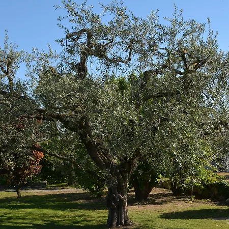 Parc Casa Mia Hotel